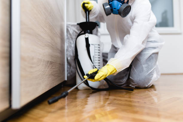 Flea Control Services in East Liverpool, OH