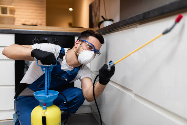 Best Emergency Pest Control  in East Liverpool, OH