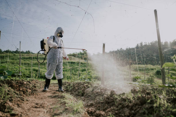 Best Mosquito Control Services  in East Liverpool, OH