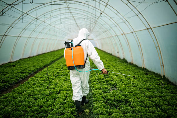 Best Residential Pest Control  in East Liverpool, OH