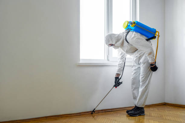 Wildlife Control Services in East Liverpool, OH