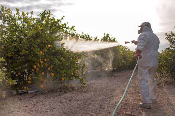 Best Wildlife Control Services  in East Liverpool, OH