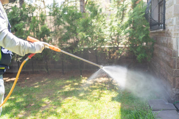 Best Flea Control Services  in East Liverpool, OH