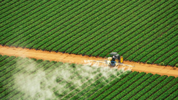 Pest Prevention Services in East Liverpool, OH