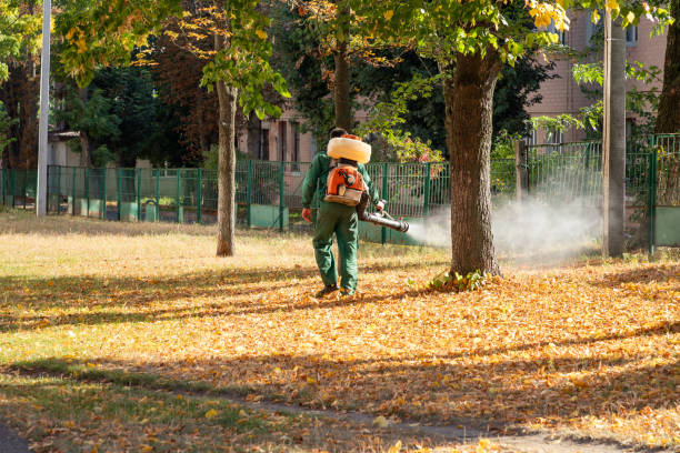 Best Cockroach Control Services  in East Liverpool, OH