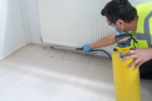 Reliable East Liverpool, OH Pest Control Solutions