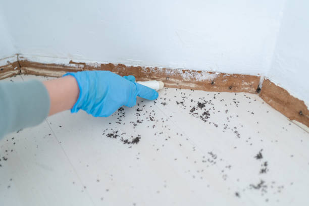  East Liverpool, OH Pest Control Pros