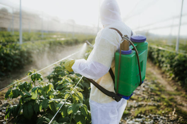 Best Termite Control Services  in East Liverpool, OH